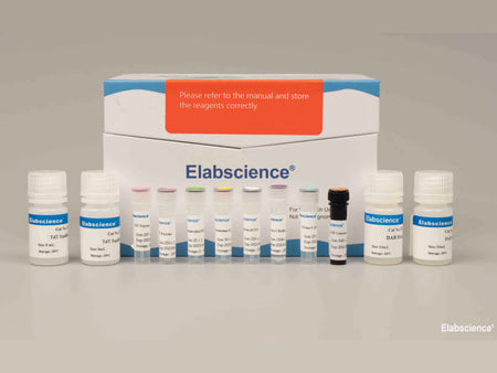 TUNEL In Situ Apoptosis Kit (HRP-DAB Method), Cell Assays, Elabscience Biotechnology, MSE Supplies