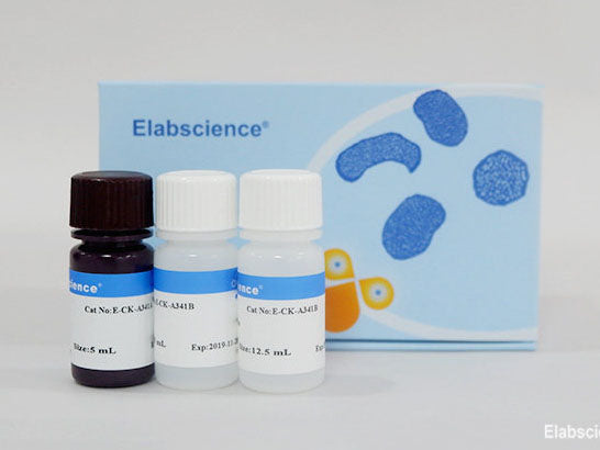 MTT Cell Proliferation and Cytotoxicity Assay Kit – MSE Supplies