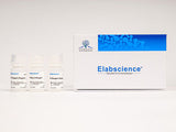 Cell Cycle Assay Kit (Red Fluorescence), Cell Assays, Elabscience Biotechnology, MSE Supplies