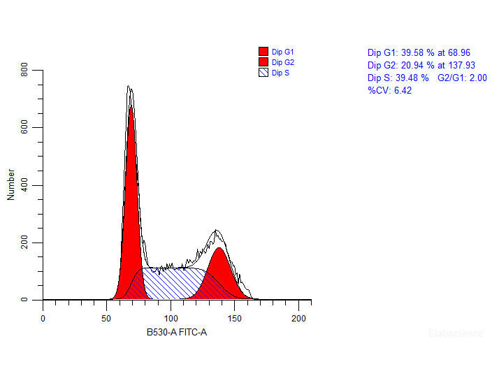 Cell Cycle Assay Kit (Green Fluorescence), Cell Assays, Elabscience Biotechnology, MSE Supplies