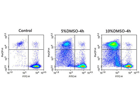 Calcein AM/PI Double Staining Kit, Cell Assays, Elabscience Biotechnology, MSE Supplies