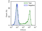 E-Click EdU Cell Proliferation Flow Cytometry Assay Kit (Green, FITC), Cell Assays, Elabscience Biotechnology, MSE Supplies
