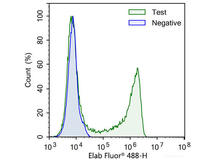 E-Click EdU Cell Proliferation Flow Cytometry Assay Kit (Green, Elab Fluor® 488), Cell Assays, Elabscience Biotechnology, MSE Supplies