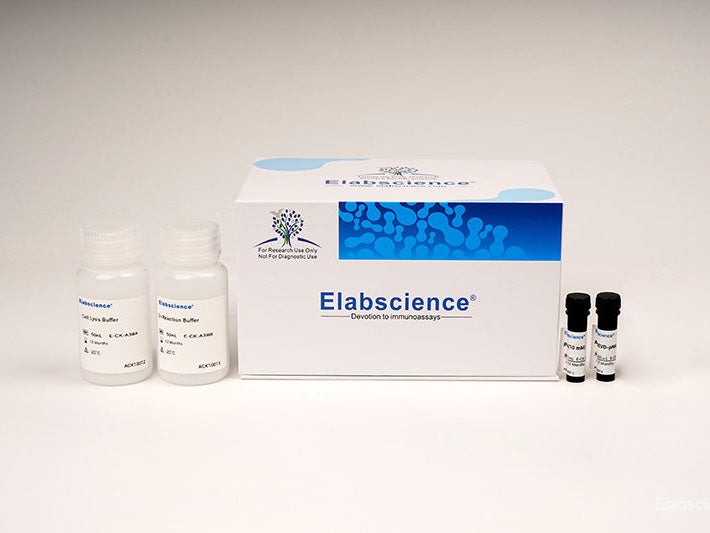 Caspase 6 Activity Assay Kit (Colorimetric Method), Cell Assays, Elabscience Biotechnology, MSE Supplies