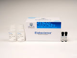 Caspase 9 Activity Assay Kit (Colorimetric Method), Cell Assays, Elabscience Biotechnology, MSE Supplies