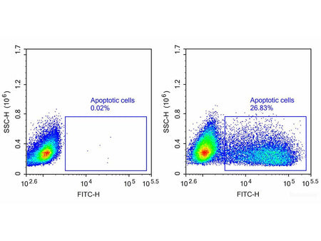 One-step TUNEL Flow Cytometry Apoptosis Kit (Green, FITC), Cell Assays, Elabscience Biotechnology, MSE Supplies