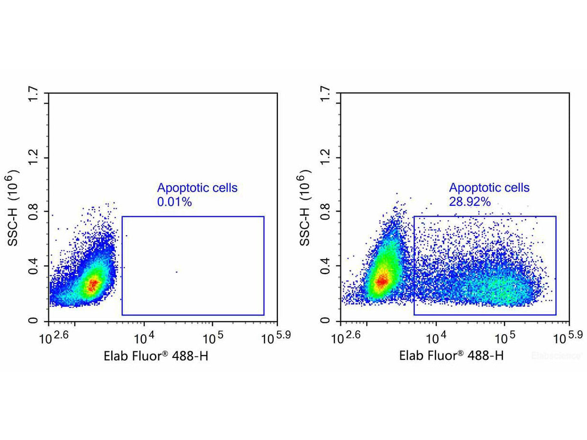 One-step TUNEL Flow Cytometry Apoptosis Kit (Green, Elab Fluor® 488), Cell Assays, Elabscience Biotechnology, MSE Supplies