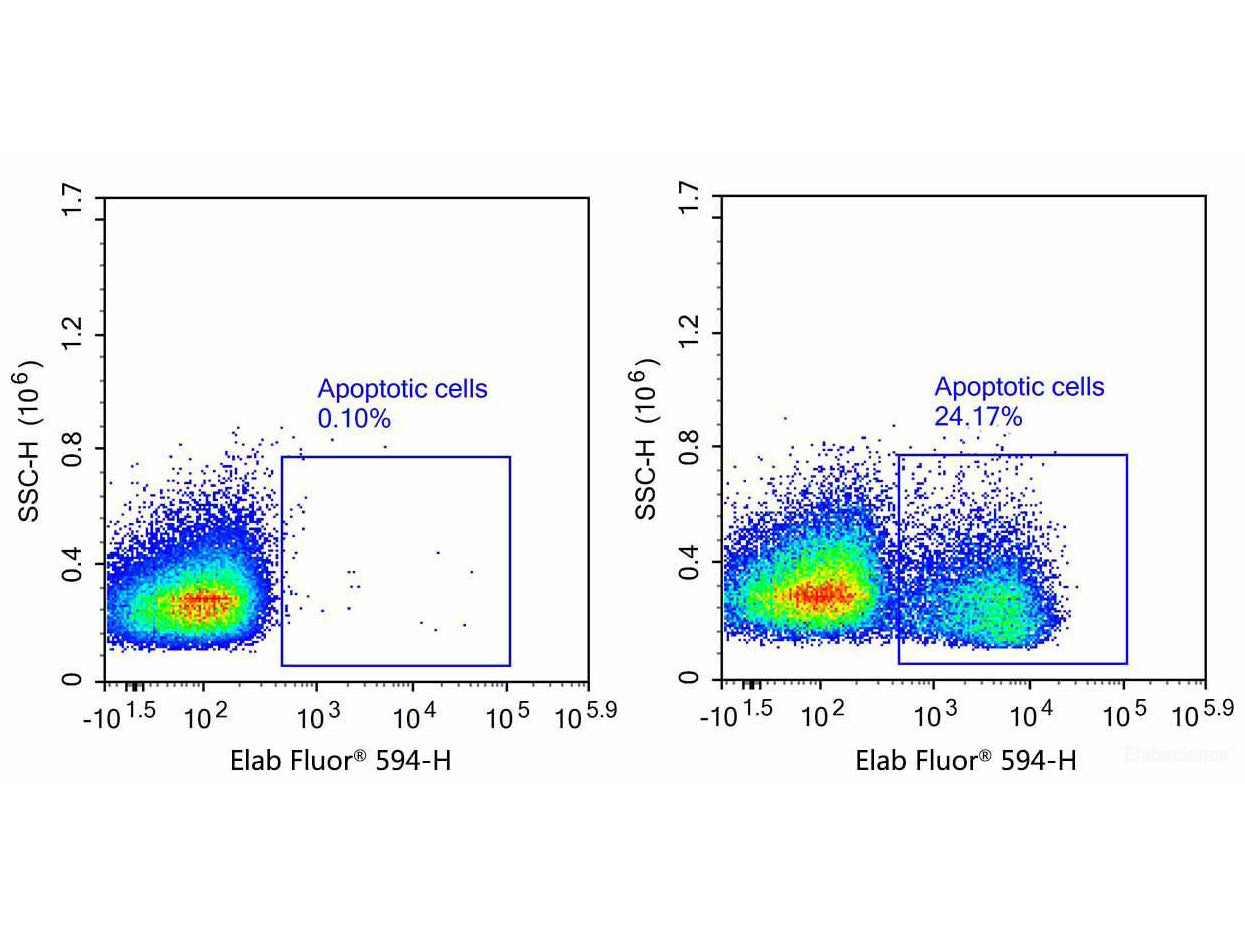 One-step TUNEL Flow Cytometry Apoptosis Kit (Red, Elab Fluor® 594), Cell Assays, Elabscience Biotechnology, MSE Supplies