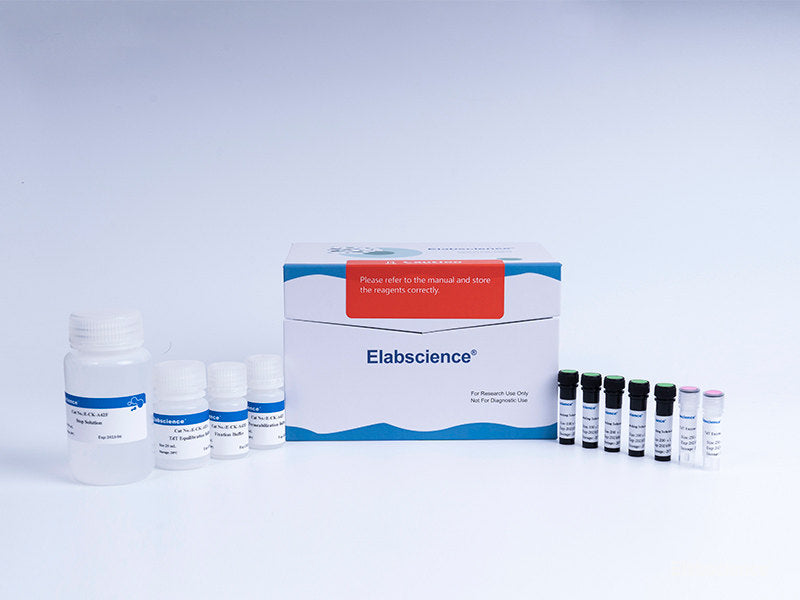 One-step TUNEL Flow Cytometry Apoptosis Kit (Red, Elab Fluor® 594), Cell Assays, Elabscience Biotechnology, MSE Supplies