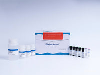 One-step TUNEL Flow Cytometry Apoptosis Kit (Red, Elab Fluor® 647) - MSE Supplies LLC
