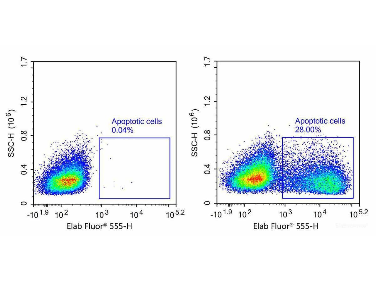 One-step TUNEL Flow Cytometry Apoptosis Kit (Red, Elab Fluor® 555), Cell Assays, Elabscience Biotechnology, MSE Supplies