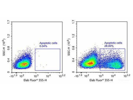 One-step TUNEL Flow Cytometry Apoptosis Kit (Red, Elab Fluor® 555), Cell Assays, Elabscience Biotechnology, MSE Supplies