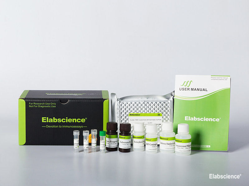 Rat GDNF (Glial Cell Line Derived Neurotrophic Factor) CLIA Kit, Cell Assays, Elabscience Biotechnology, MSE Supplies