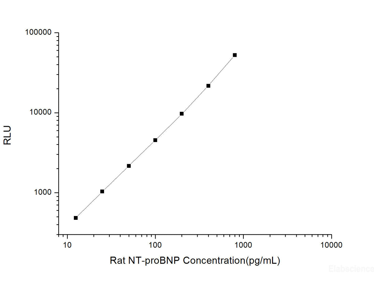Rat NT-proBNP (N-Terminal Pro-Brain Natriuretic Peptide) CLIA Kit, Cell Assays, Elabscience Biotechnology, MSE Supplies