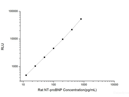 Rat NT-proBNP (N-Terminal Pro-Brain Natriuretic Peptide) CLIA Kit, Cell Assays, Elabscience Biotechnology, MSE Supplies