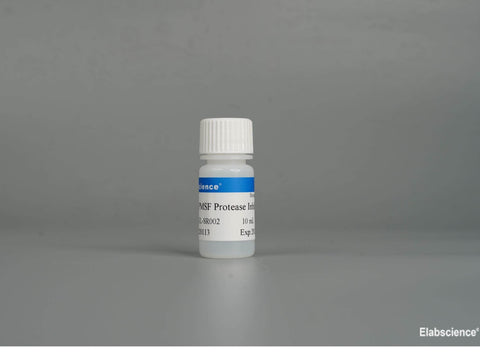 PMSF Protease Inhibitor, 10mL, Cell Assays, Elabscience Biotechnology, MSE Supplies