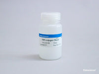 HRP-conjugate Diluent, 100mL, Cell Assays, Elabscience Biotechnology, MSE Supplies