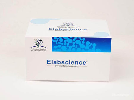 Ancillary Reagent Kit, Cell Assays, Elabscience Biotechnology, MSE Supplies