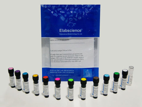 PE (R-Phycoerythrin), Cell Assays, Elabscience Biotechnology, MSE Supplies