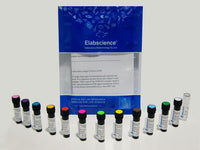 APC (Allophycocyanin), Cell Assays, Elabscience Biotechnology, MSE Supplies
