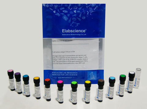SMCC Activated R-PE, Cell Assays, Elabscience Biotechnology, MSE Supplies