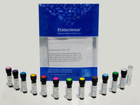 SMCC Activated APC, Cell Assays, Elabscience Biotechnology, MSE Supplies
