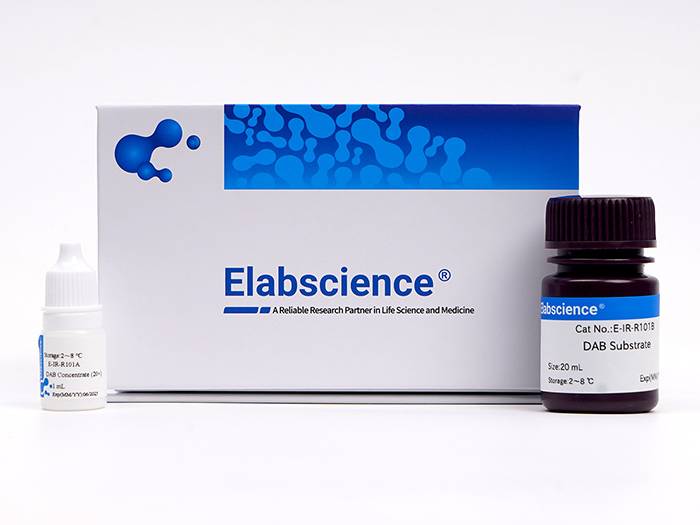 DAB Detection Kit