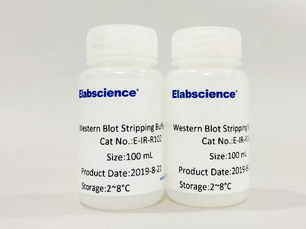 Western Blot Stripping Buffer (Neutral)