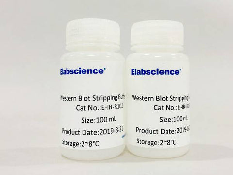 Western Blot Stripping Buffer (Neutral)