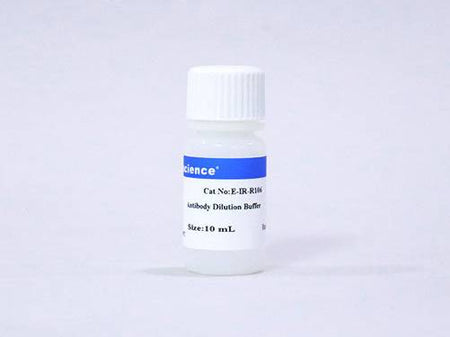 Antibody Dilution Buffer