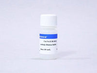 Antibody Dilution Buffer