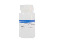 Western Blotting Antibody Dilution Buffer