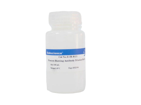 Western Blotting Antibody Dilution Buffer