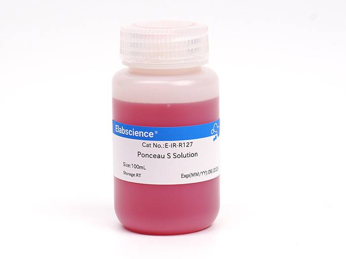 Ponceau S Solution