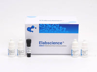 2-Step Plus Poly-HRP Anti Rabbit IgG Detection System (With DAB Solution)