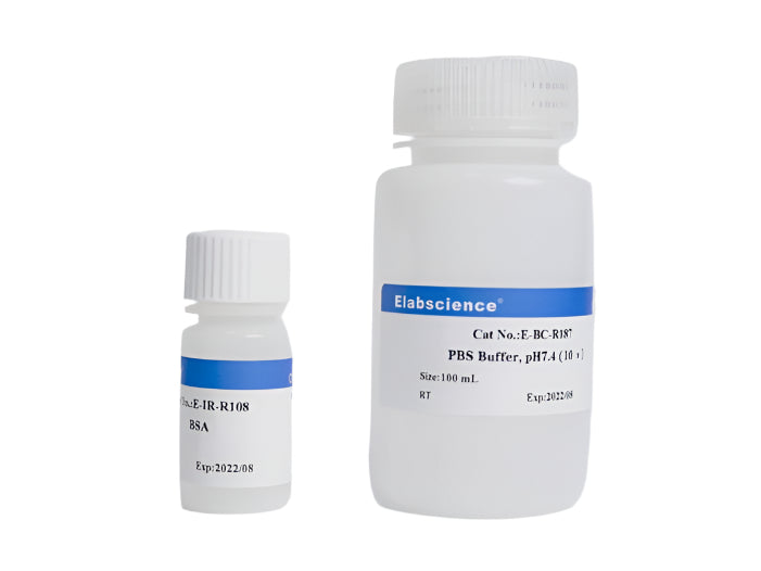 WB/IHC Blocking Kit