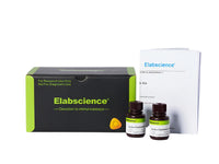 Excellent Chemiluminescent Substrate (ECL) Kit, Cell Assays, Elabscience Biotechnology, MSE Supplies