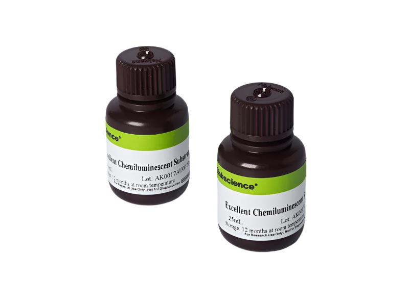 Excellent Chemiluminescent Substrate (ECL) Kit, Cell Assays, Elabscience Biotechnology, MSE Supplies