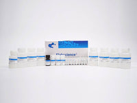 High Accuracy and Absorbability Western Blot Detection Kit