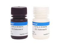 Excellent Chemiluminescent Substrate (ECL)Detection Kit