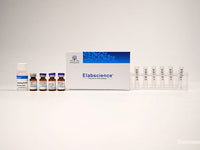 Biotin Labeling Kit (10 KD Filtration Tube) - MSE Supplies LLC