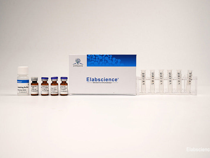 Cyanine 3 Labeling Kit (10 KD Filtration Tube), Cell Assays, Elabscience Biotechnology, MSE Supplies