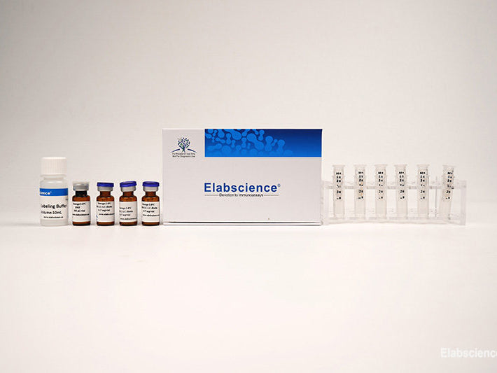 Cyanine 3 Labeling Kit (50 KD Filtration Tube), Cell Assays, Elabscience Biotechnology, MSE Supplies