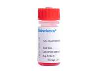 Anti-His(HHHHHH) Affinity Agarose, 2mL, Biomarkers, Elabscience Biotechnology, MSE Supplies