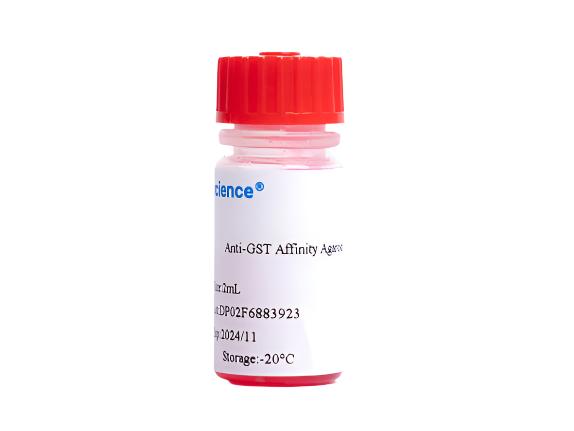 Anti-GST Affinity Agarose, 2mL, Biomarkers, Elabscience Biotechnology, MSE Supplies