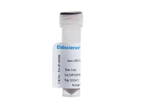Anti-GST Immunomagnetic Beads, 1mL, Biomarkers, Elabscience Biotechnology, MSE Supplies