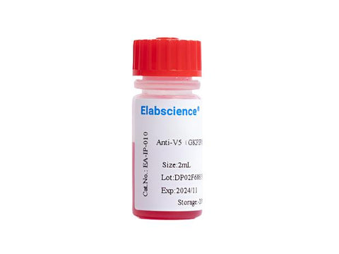 Anti-V5(GKPIPNPLLGLDST) Affinity Agarose, 2mL, Biomarkers, Elabscience Biotechnology, MSE Supplies