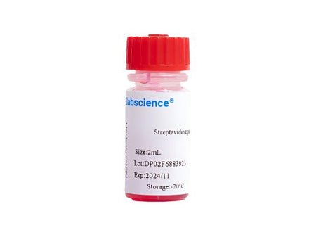 Streptavidin agarose gel, 2mL, Biomarkers, Elabscience Biotechnology, MSE Supplies