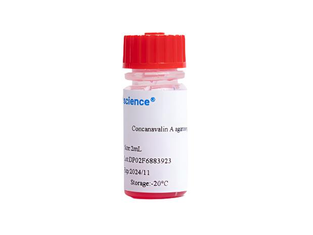 Concanavalin A agarose gel, 2mL, Biomarkers, Elabscience Biotechnology, MSE Supplies