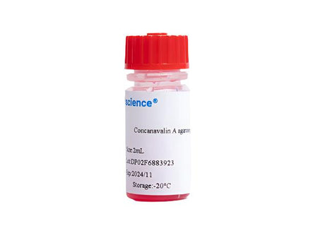 Concanavalin A agarose gel, 2mL, Biomarkers, Elabscience Biotechnology, MSE Supplies